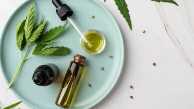 Estudo: Cannabis age no alívio da dor e na melhora da qualidade de vida
