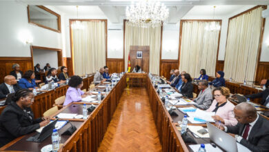 Moçambique inicia preparação técnica para o Censo 2027