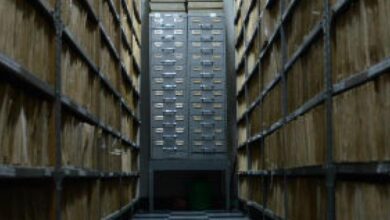SE defende modernização da gestão documental para melhorar serviços públicos e privados