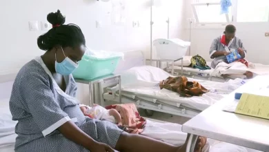 Sector da Saúde regista queda de mortes maternas na Província de Maputo