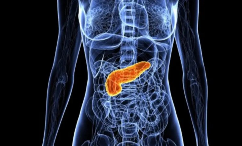 Vem aí a primeira caneta de uso mensal para baixar os triglicérides e reduzir risco de pancreatite