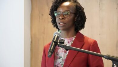 Protecção das mulheres viúvas deve ser responsabilidade colectiva, afirma Ministra do Trabalho
