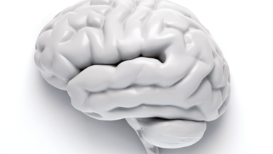 Três fatores do estilo de vida na meia-idade são ligados a 13 anos a mais livres de Alzheimer na velhice