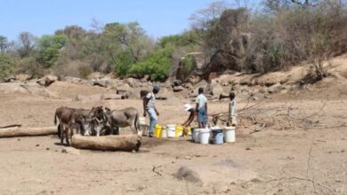 Seca ameaça distritos de Sofala