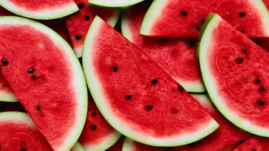 Autismo: até 69% das crianças têm seletividade alimentar; guia inédito traz orientações