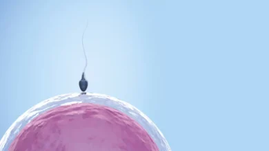 Como o machismo pode atrasar tratamento da infertilidade