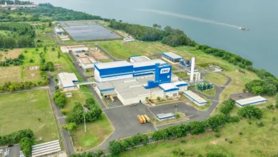 Como a gigante das carnes está investindo em colágeno para a pele