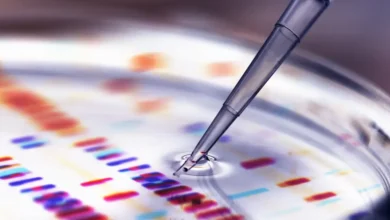 Anvisa aprova novo medicamento para doença que causa acúmulo de gordura em quase todo o corpo