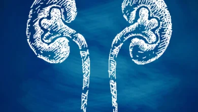 Sal, volume de água e carambola: o que impacta a saúde renal